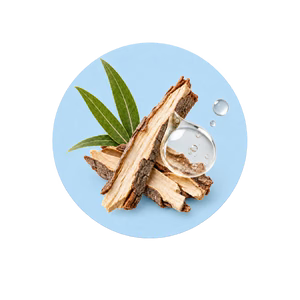 Salicylic Acid